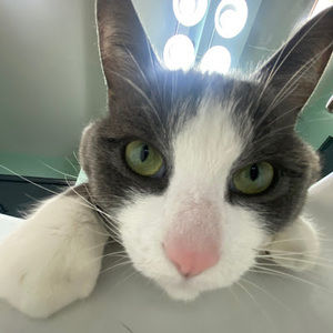 Meet your Posher, Kanitta